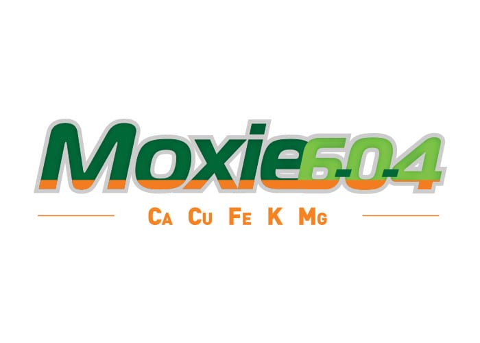 Moxie 6-0-4