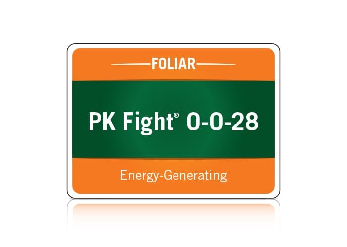 PK Fight 0-0-28